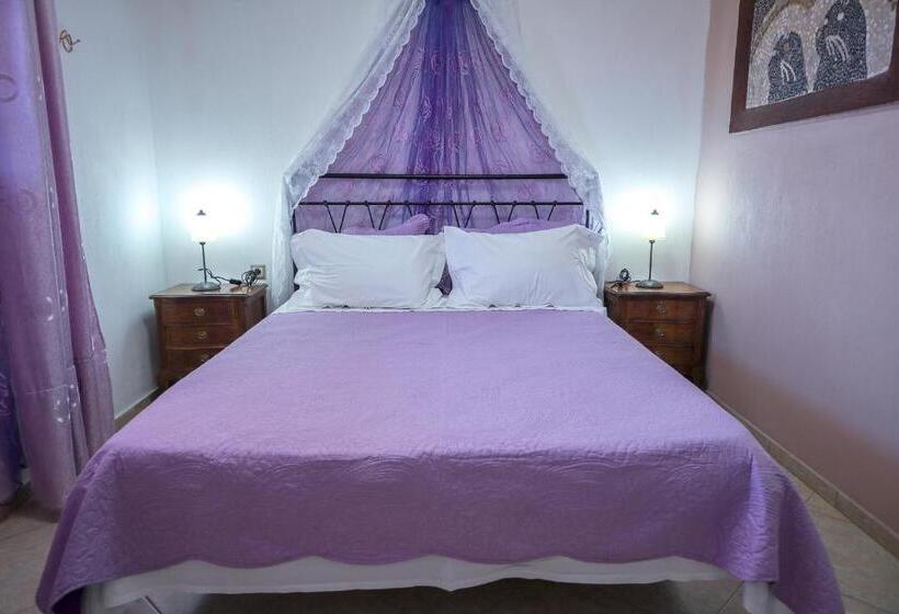 آپارتمان 1 خوابه با چشمانداز باغ, Sossinola