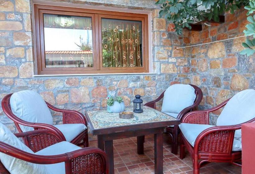 آپارتمان 1 خوابه با چشمانداز باغ, Sossinola