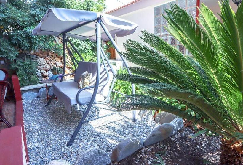 آپارتمان 1 خوابه با چشمانداز باغ, Sossinola