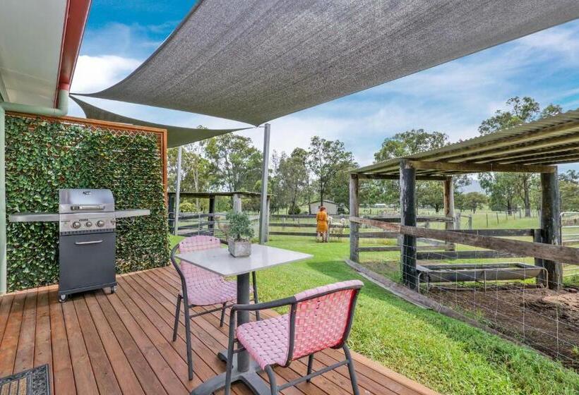 스위트, Starline Alpacas Farmstay Resort