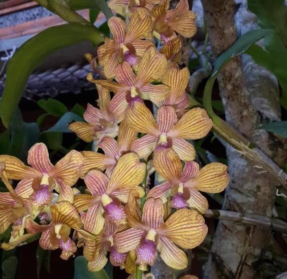 Quarto Deluxe, Kun Kun Guest House Ubud