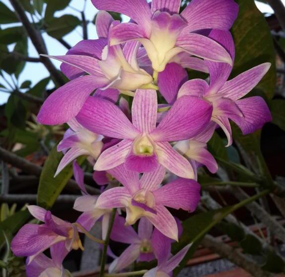 Quarto Deluxe, Kun Kun Guest House Ubud