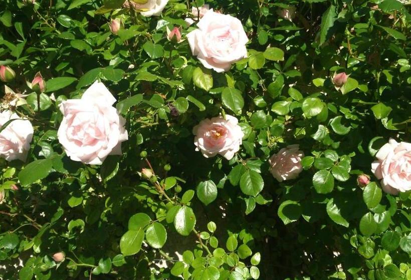 デラックスルーム, Le Vent D étoile B&b And Guesthouses