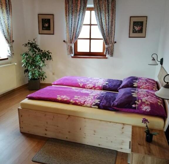 דירת חדר, Ferienwohnung Michlwirt
