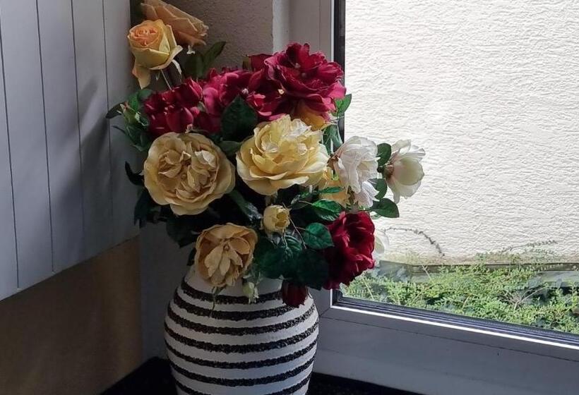 Camera Economy Singola, Inteck