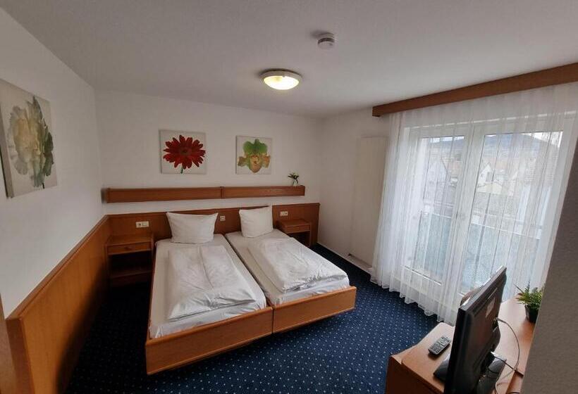 Camera Standard, Inteck