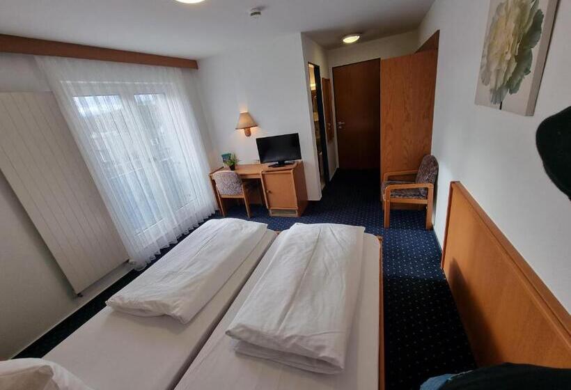 Camera Standard, Inteck