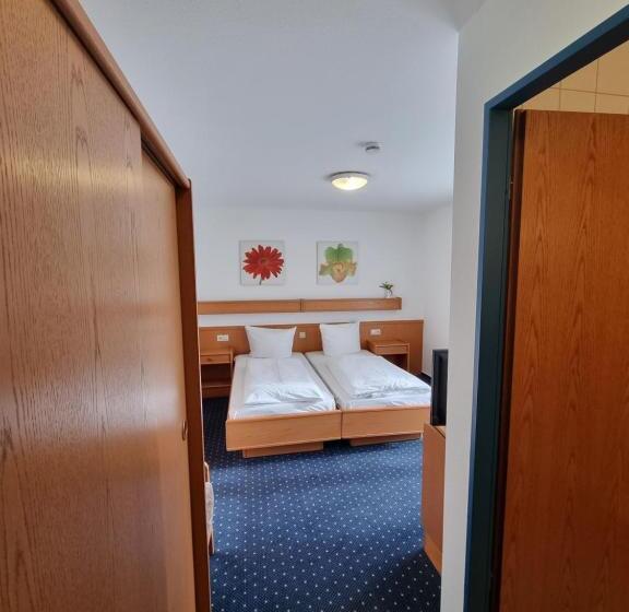 Camera Standard, Inteck