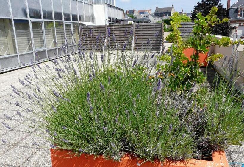 Camera Economy, Arche