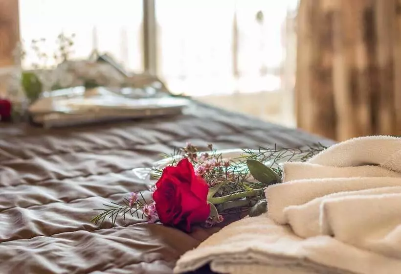 استودیو استاندارد با چشم‌انداز, Hill View Hotel Apartments