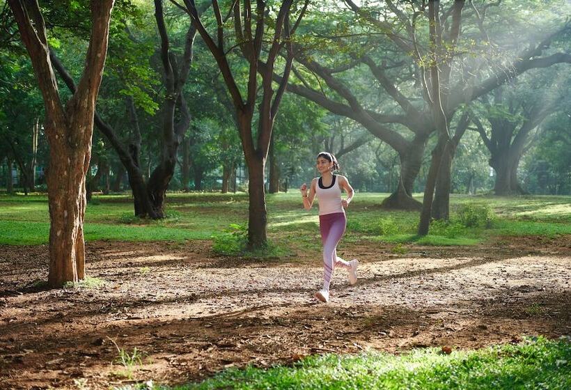 Номер Стандарт, Jw Marriott Hotel Bengaluru