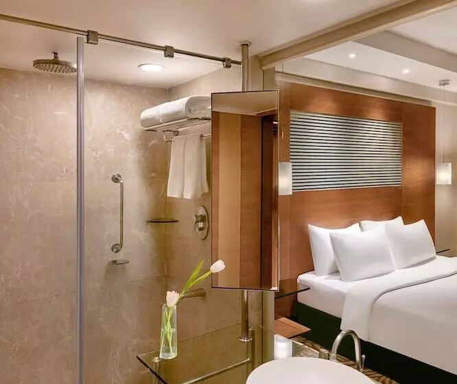 スーペリアールーム, Radisson Blu Hotel Ahmedabad