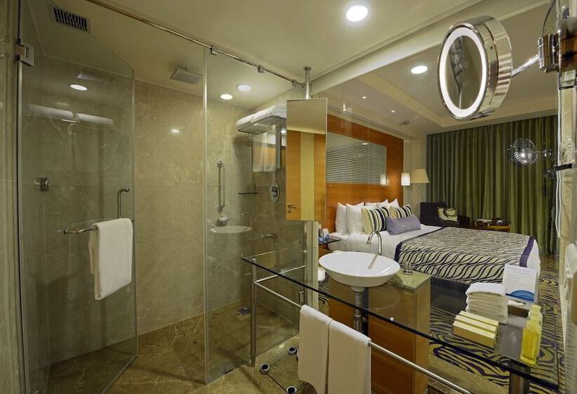 수피리어 룸, Radisson Blu Hotel Ahmedabad