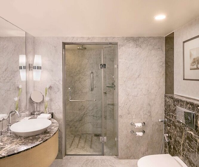 스위트, Radisson Blu Hotel Ahmedabad