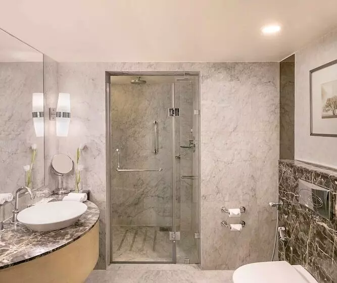スイート, Radisson Blu Hotel Ahmedabad
