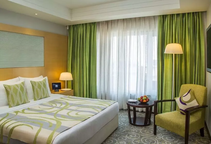 スイート, Radisson Blu Hotel Ahmedabad