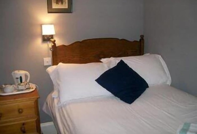 スタンダードトリプルルーム, The Guards