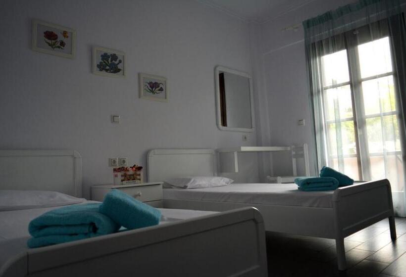 이코노미 룸, Theopisti