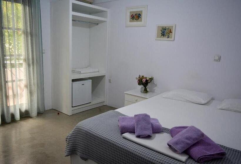 이코노미 룸, Theopisti