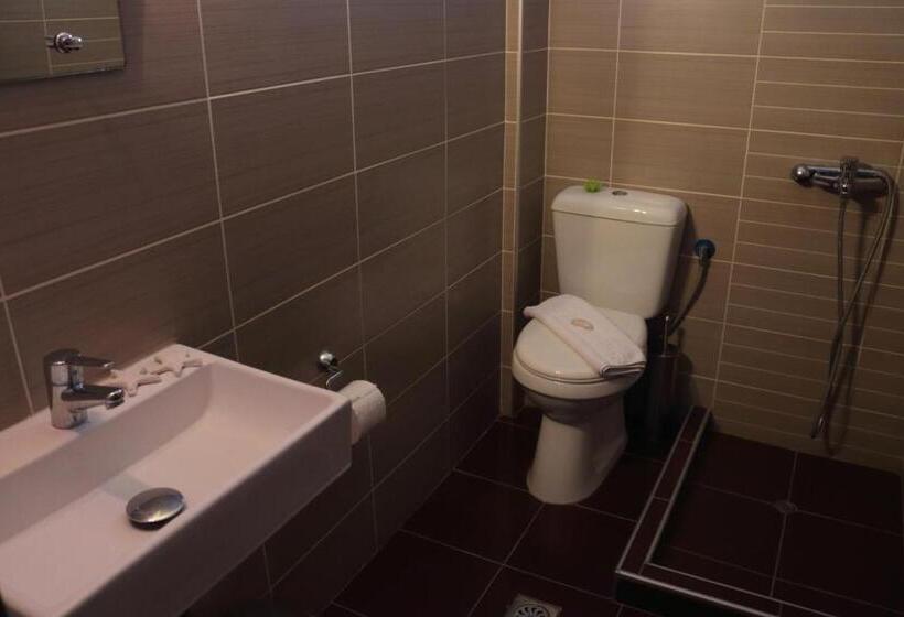 컴포트 룸, Theopisti