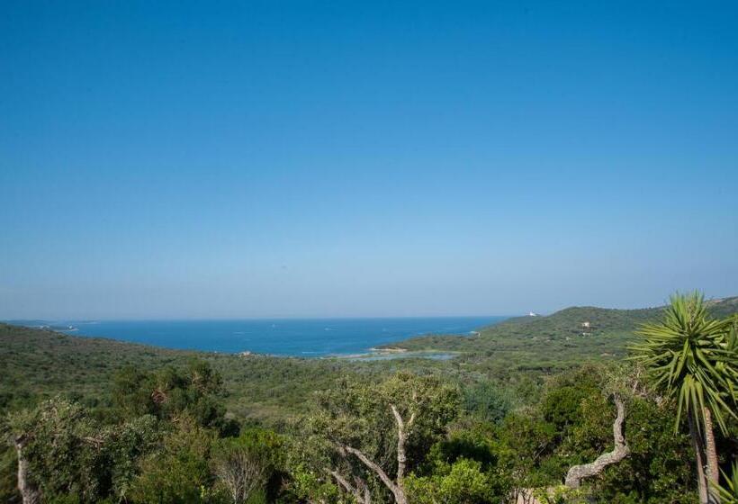 فيلا غرفة نوم واحدة مطلّة علي البحر, Résidence U Pirellu