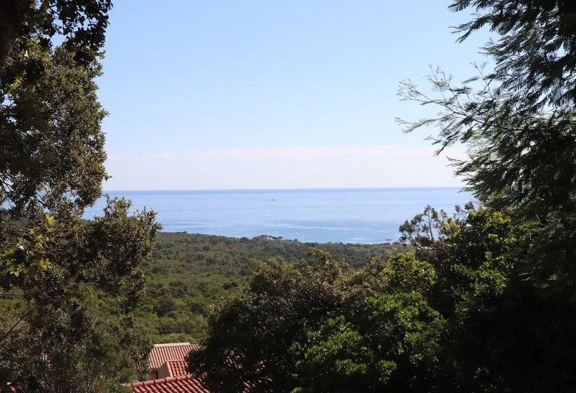 شقة غرفة واحدة, Résidence U Pirellu