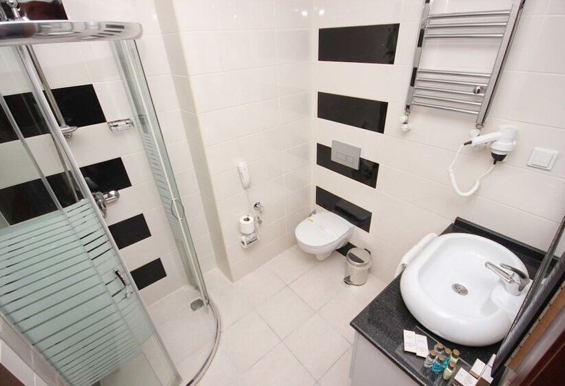 اتاق استاندارد, Asrın Business