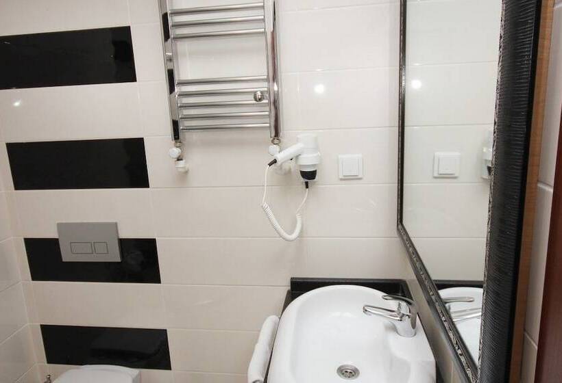 اتاق استاندارد, Asrın Business