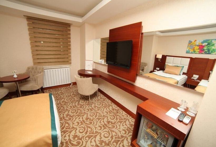 اتاق استاندارد, Asrın Business