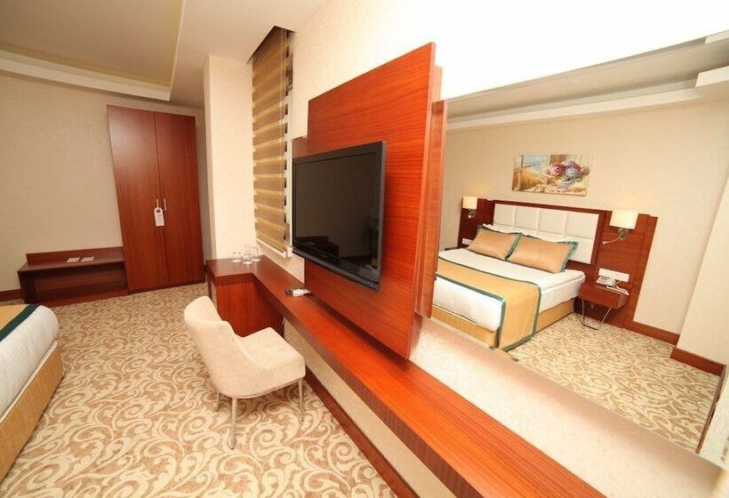 اتاق استاندارد, Asrın Business