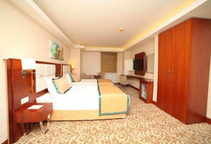 اتاق استاندارد, Asrın Business