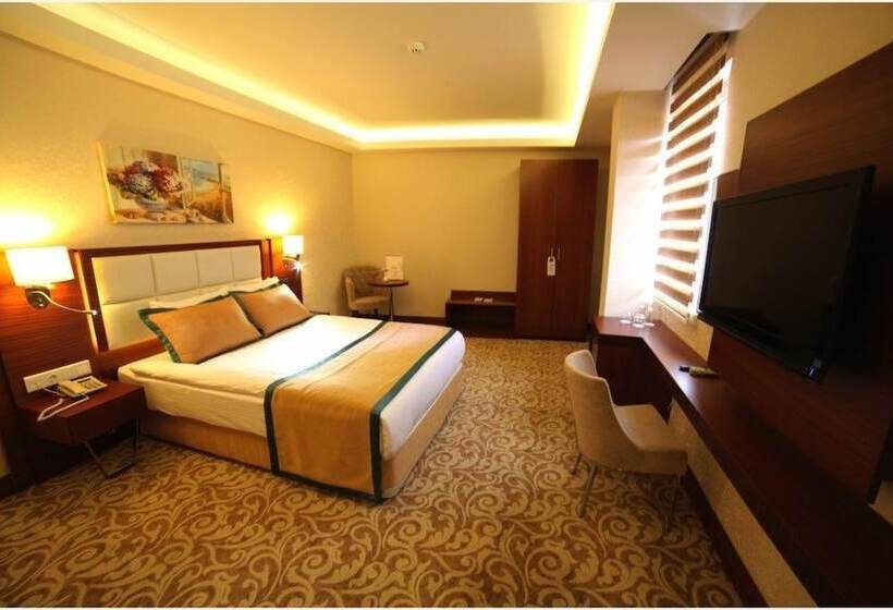 اتاق استاندارد, Asrın Business