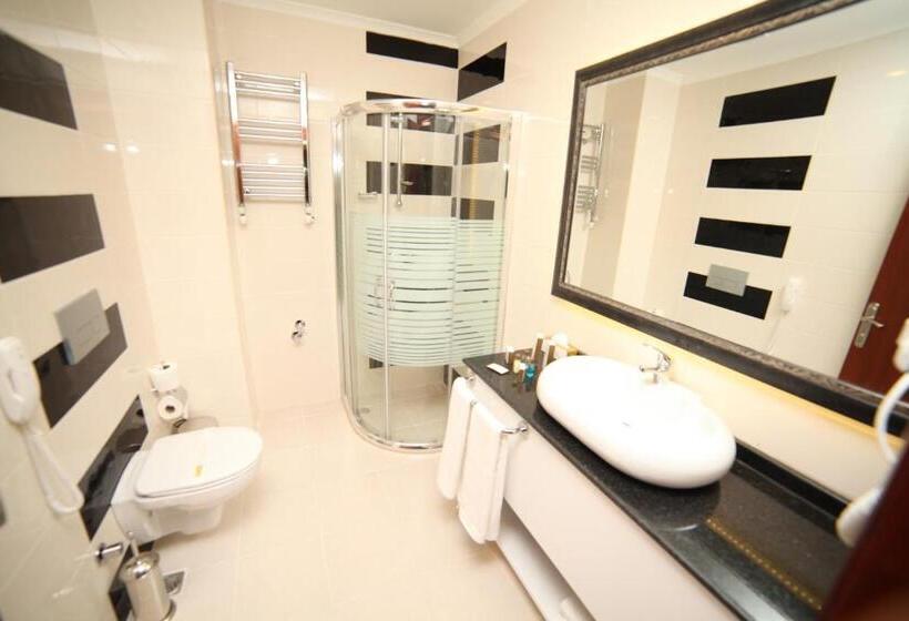 اتاق استاندارد, Asrın Business