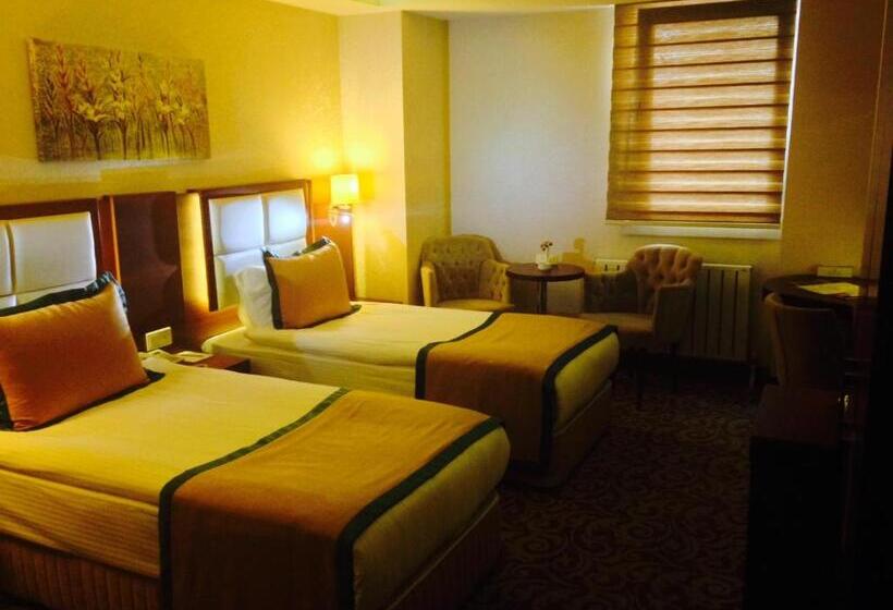 اتاق استاندارد, Asrın Business