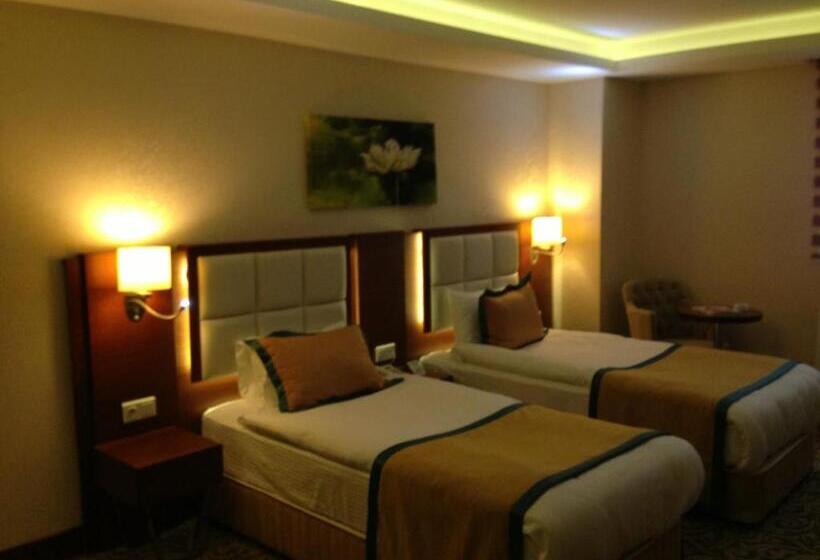 اتاق استاندارد, Asrın Business