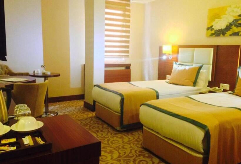 اتاق استاندارد, Asrın Business