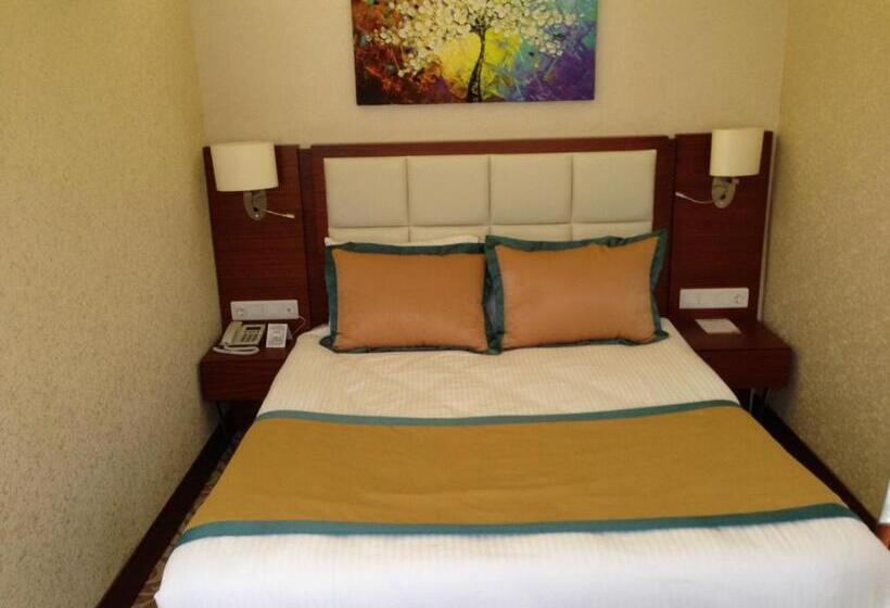 اتاق استاندارد, Asrın Business