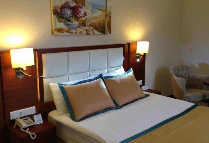 اتاق استاندارد, Asrın Business