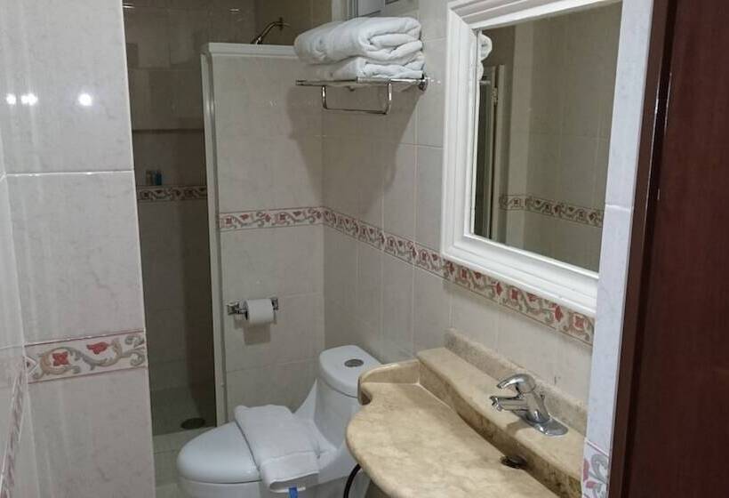 스탠다드 룸, Savoy Express