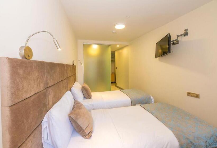 اتاق استاندارد, Taksim Hotel V Plus
