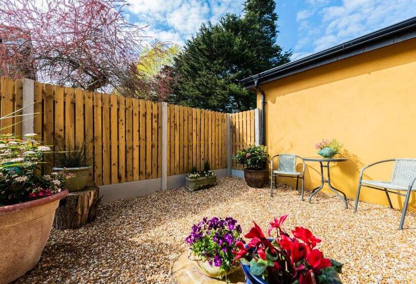 수피리어 테라스 룸, Mount Barker