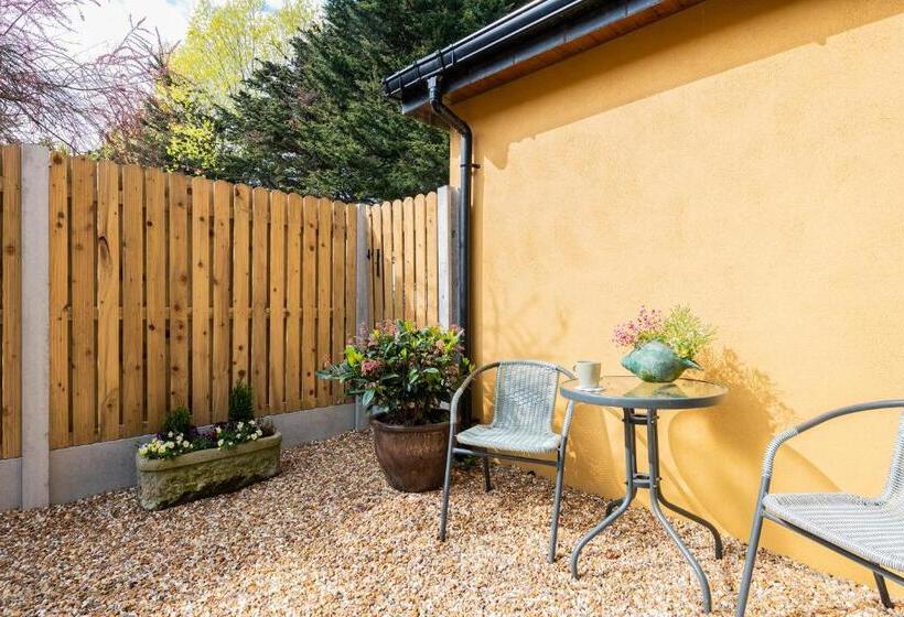 수피리어 테라스 룸, Mount Barker