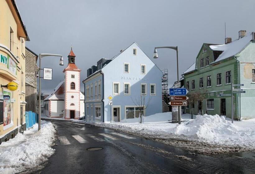 דירת דופלקס בת חדר שינה 1, Marcebila Abertamy