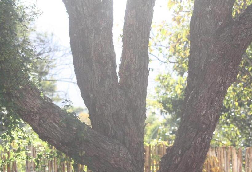 חדר דלוקס נוף לגינה, Sarah S Place  Heatherlands,george