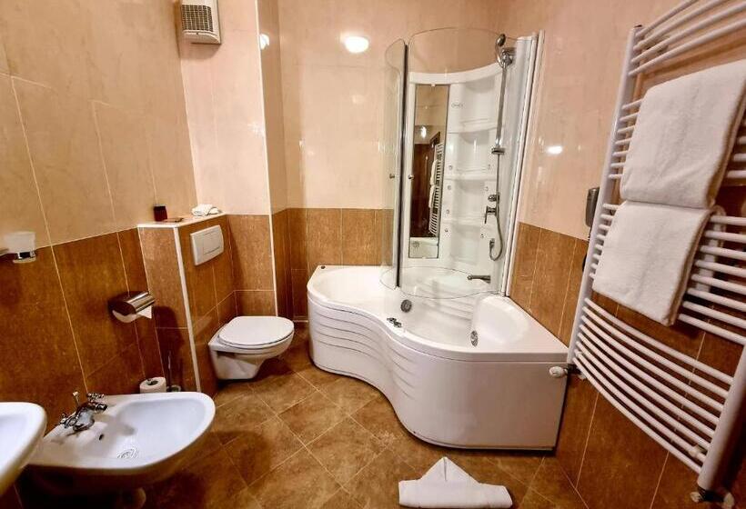 침실 1개 아파트, Coandi