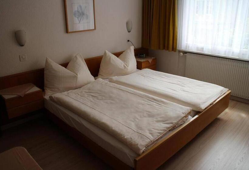 חדר סטנדרט, Rebstock Meiringen