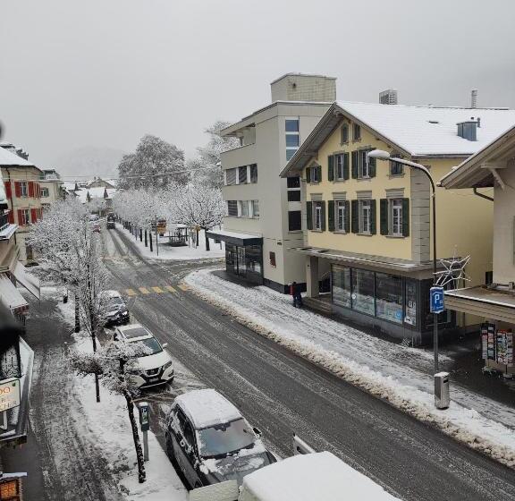 חדר סטנדרד יחיד חדר אמבטיה משותף, Rebstock Meiringen