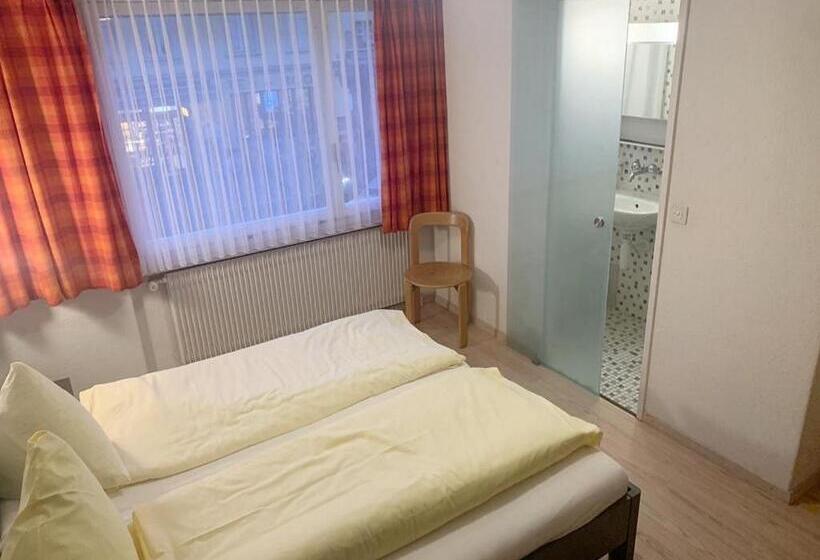 חדר אקונומי, Rebstock Meiringen