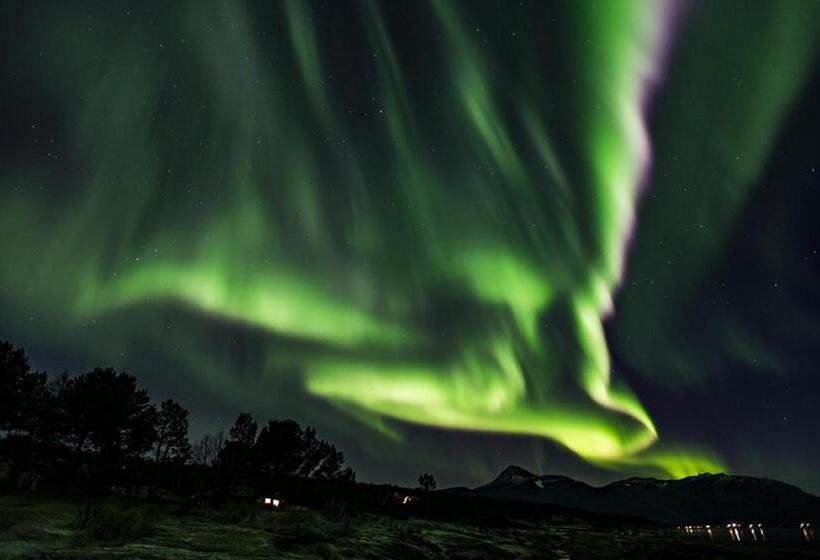 스탠다드 룸, Finnvikhaugen Rooms