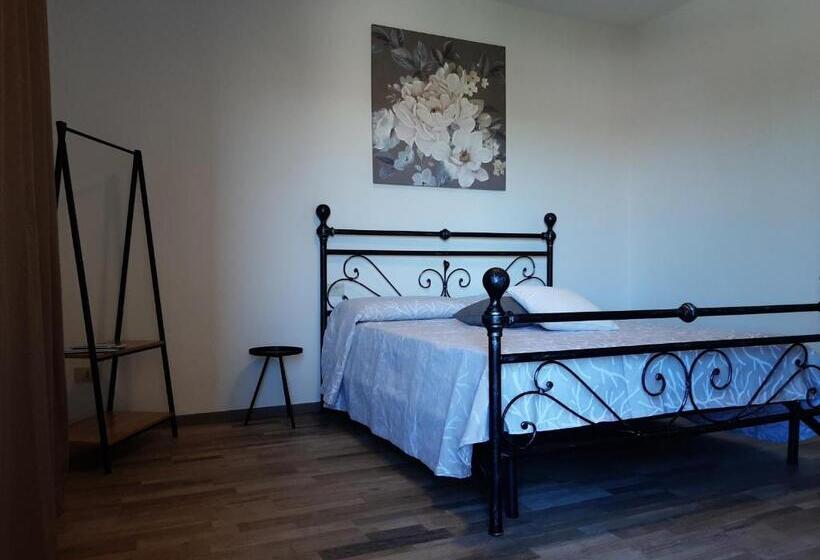 スタンダードルーム, Padiz Room